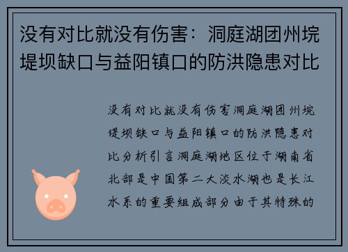 没有对比就没有伤害：洞庭湖团州垸堤坝缺口与益阳镇口的防洪隐患对比分析